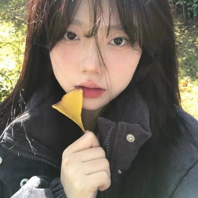 多梦季节